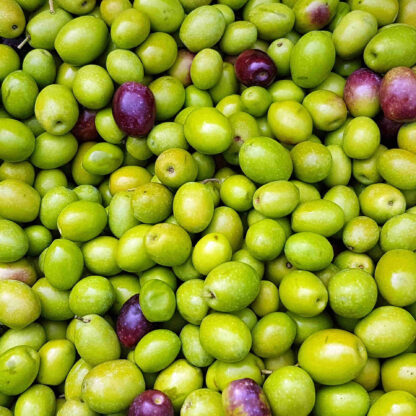 Agroigualada