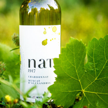 NAT 1917 Chardonnay-Muscat d'Alexandria
