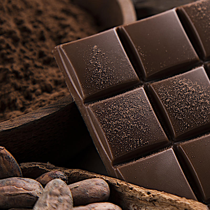 Cacau i xocolata