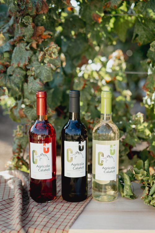 Cooperativa Agrícola Calafell