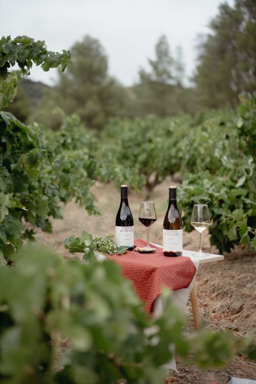 Vinícola del Priorat