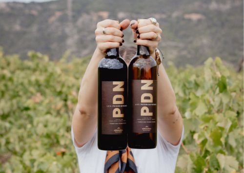 Cooperativa Agrícola d'Ulldemolins Sant Jaume