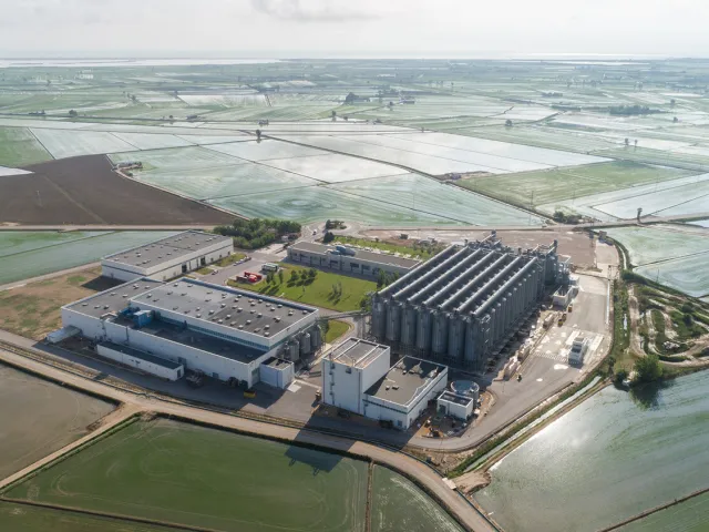 Arrossaires del delta de L'Ebre