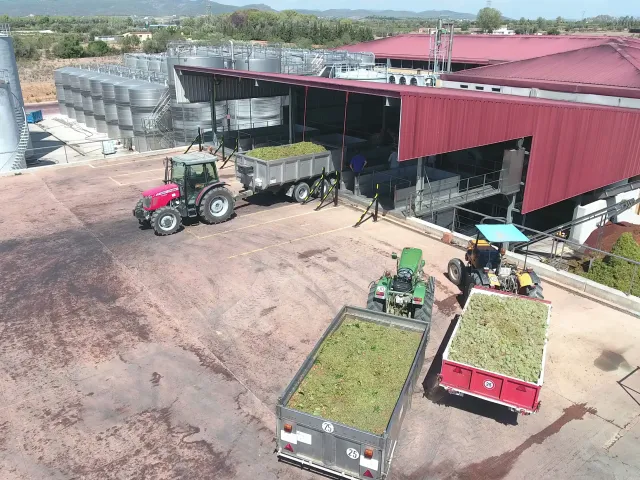 Grup cooperatiu Cevipe - Agro-Tast