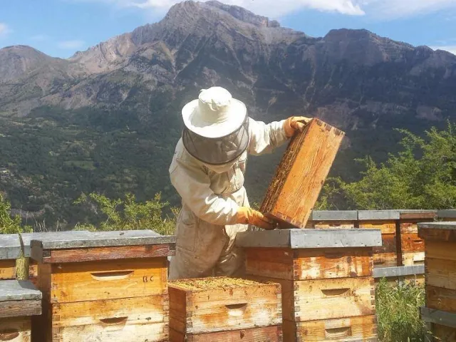 Cooperativa Apícola Brull Casanova