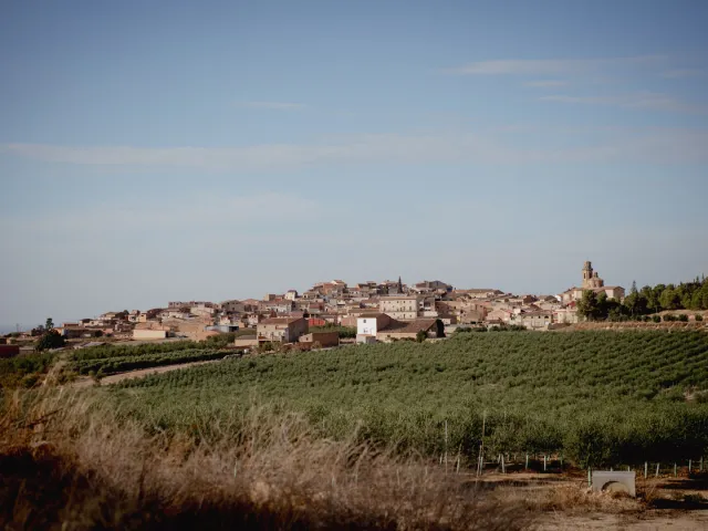Cooperativa Fruits Secs les Garrigues