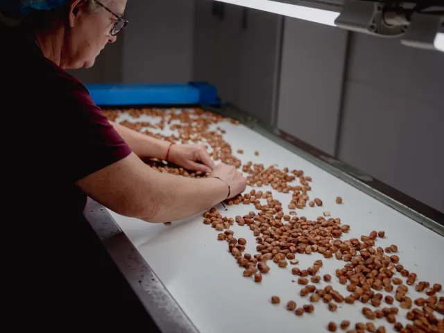 Cooperativa L'Avellanera