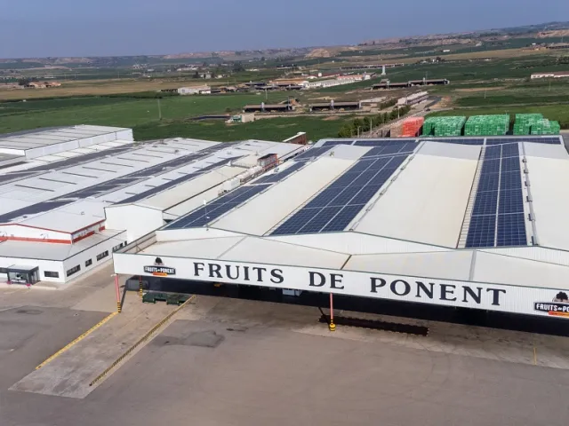 Cooperativa Fruits de Ponent