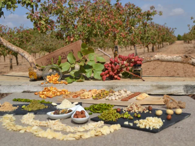 Cooperativa Fruits Secs les Garrigues