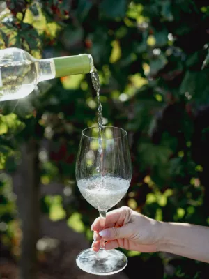 Vi Blanc Agrícola de Calafell