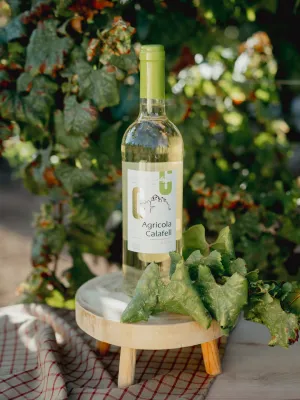 Vi Blanc Agrícola de Calafell