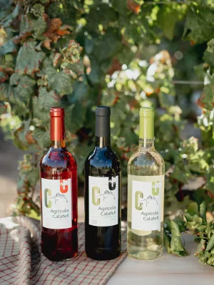 Vi Negre Agrícola de Calafell