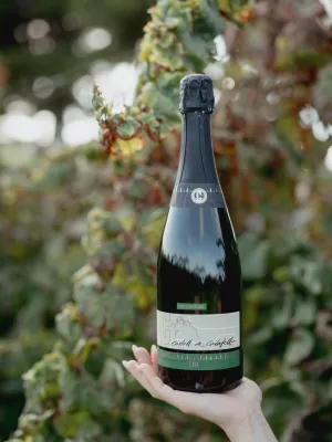 Cava Brut Nature Castell de Calafell Agrícola de Calafell