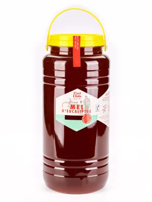 Mel d'Eucaliptus gran El Rebost de l'Avi Lluís