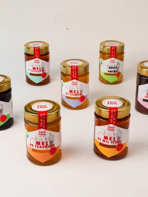 Mel de Bosc El Rebost de l'Avi Lluís