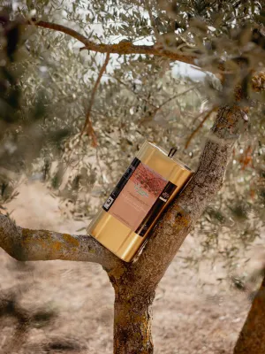 Oli La Llena Verge Extra ecològic Agrícola Ulldemolins Sant Jaume 5 l