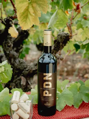 Vi Negre Les Pedrenyeres Agrícola Ulldemolins Sant Jaume