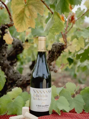 Vi negre Ssssssshhhhhh Agrícola Ulldemolins Sant Jaume