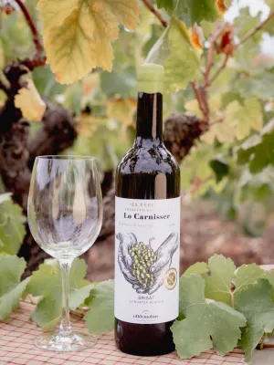 Vi Blanc Lo Carnisser Agrícola Ulldemolins Sant Jaume