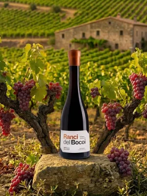 Vi ranci del Bocoi Celler Espolla 500 ml