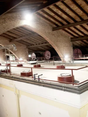 Vi ranci del Bocoi Celler Espolla 500 ml