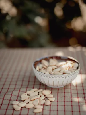 Ametlla fregida Infrusec Avellanera