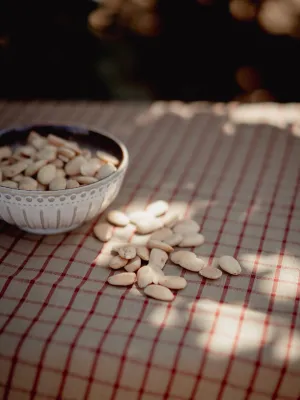 Ametlla fregida Infrusec Avellanera