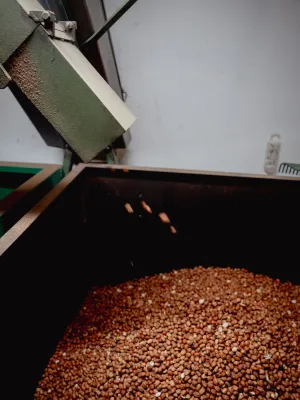 Ametlla garapinyada Infrusec Avellanera