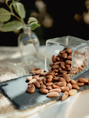 Ametlla llargueta crua Infrusec Avellanera