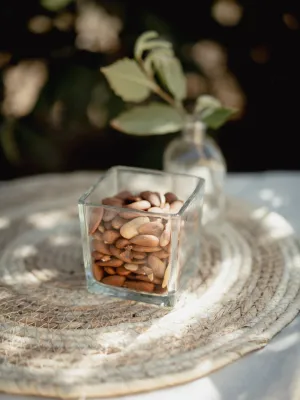 Ametlla llargueta crua Infrusec Avellanera