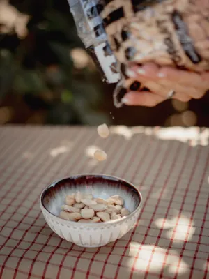 Ametlla marcona crua Infrusec Avellanera