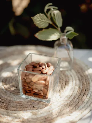 Ametlla torrada Infrusec l'Avellanera