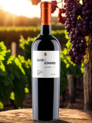 Vi negre reserva Clos de les Dòmines Celler Espolla 750 ml