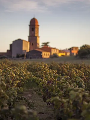 Vi negre reserva Clos de les Dòmines Celler Espolla 750 ml