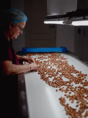 Avellana torrada Infrusec l'Avellanera