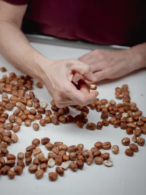 Avellana torrada Infrusec l'Avellanera