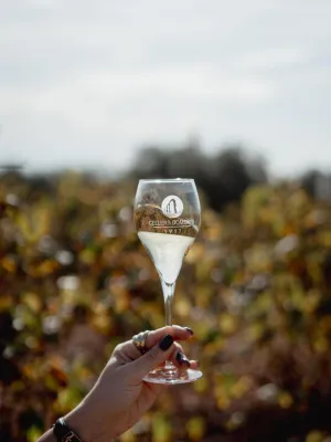 Vi blanc bag in box Capvespre Domenio Wines 5 l