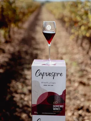 Vi negre nag in box Capvespre Domenio 5 l