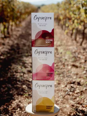 Vi rosat bag in box Capvespre Domenio Wines 5 l