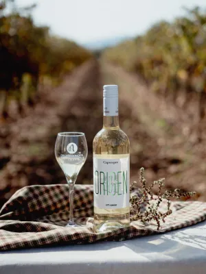 Vi blanc Capvespre Origen Domenio Wines 750 ml