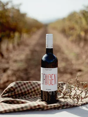 Vi negre Capvespre Origen Domenio Wines 750 ml