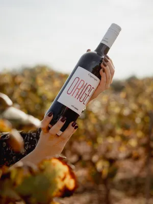 Vi negre Capvespre Origen Domenio Wines 750 ml