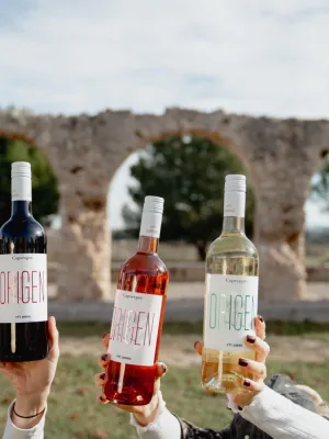 Vi rosat Origen Capvespre Domenio Wines 750 ml