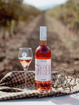 Vi rosat Origen Capvespre Domenio Wines 750 ml