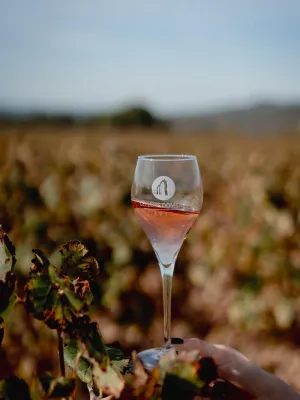 Vi rosat Llunatic Sunset Capvespre Domenio Wines 750 ml