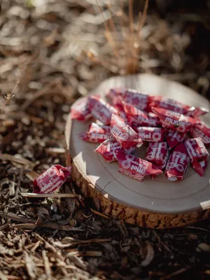 Caramels de mel Muria