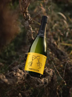Cava brut nature eco de Guarda Adernats Vinícola Nulles 750 ml