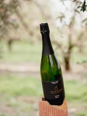 Cava l'Or de Ponent Fruits de Ponent 750 ml