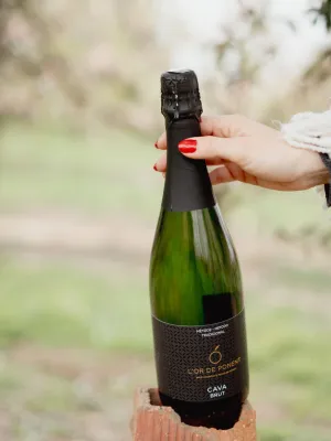 Cava l'Or de Ponent Fruits de Ponent 750 ml