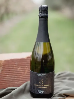 Cava l'Or de Ponent Fruits de Ponent 750 ml
